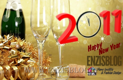 2011_happy-new-year_enzisblog Happy New Year 2011